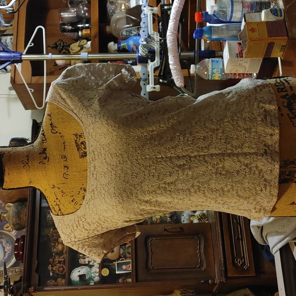 Tan lace shirt with lining juniors